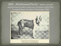 /album/%cf%80%ce%b7%ce%b3%ce%ae-%3a-boxernews-forumcommunity-net/%ce%b1%ce%bd%cf%84%ce%af%ce%b3%cf%81%ce%b1%cf%86%ce%bf-%ce%b1%cf%80%cf%8c-10689590-731607670227879-2678945684041348674-n-jpg1/